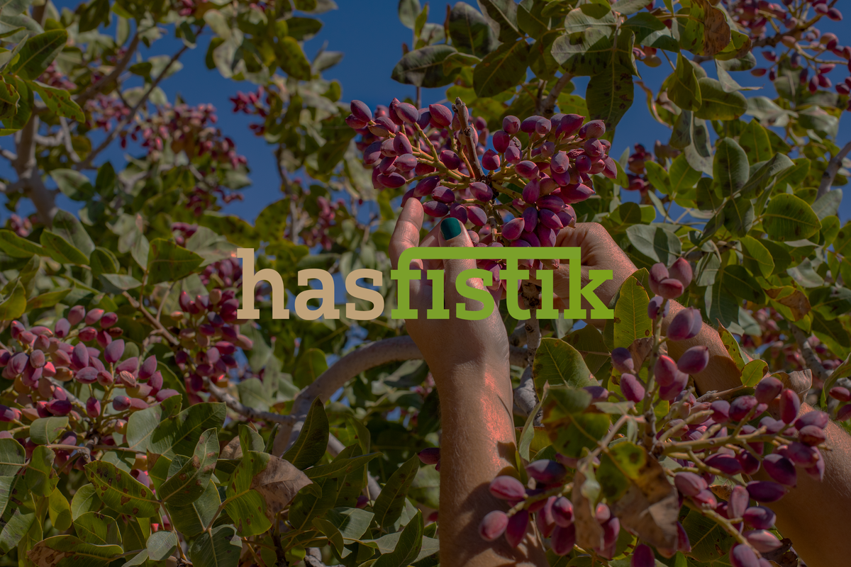 Hinora - Hakkımızda